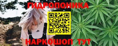 твердый Гулькевичи