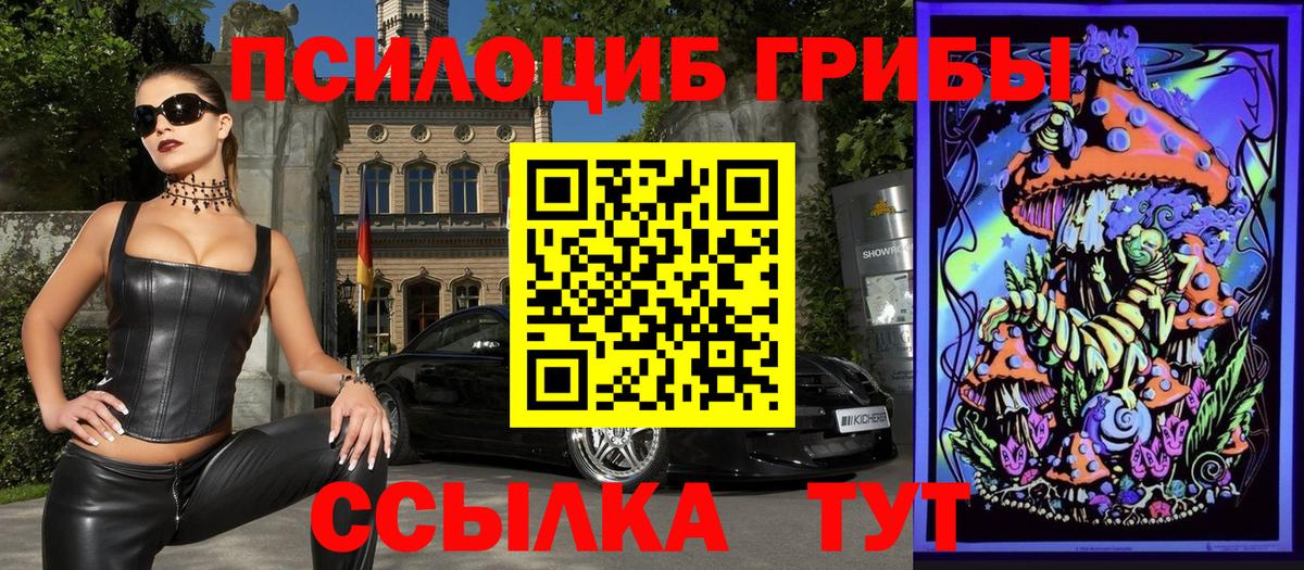 Курганинск  Псилоцибиновые грибы Psilocybine cubensis  Вход с VPN 