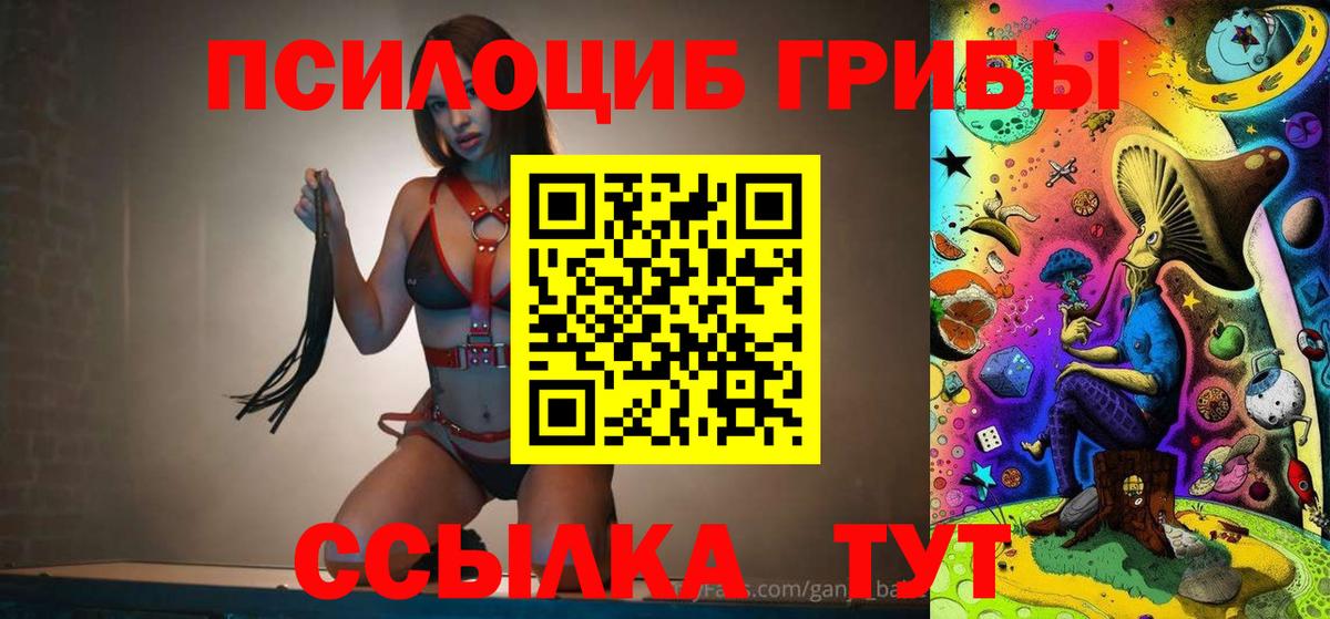 Галлюциногенные грибы Psilocybine cubensis Курганинск
