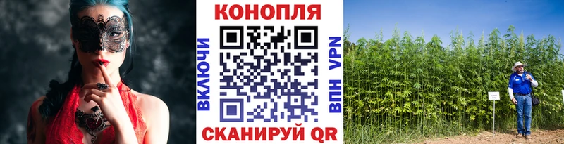 Канабис ГИДРОПОН  хочу наркоту  Курганинск 
